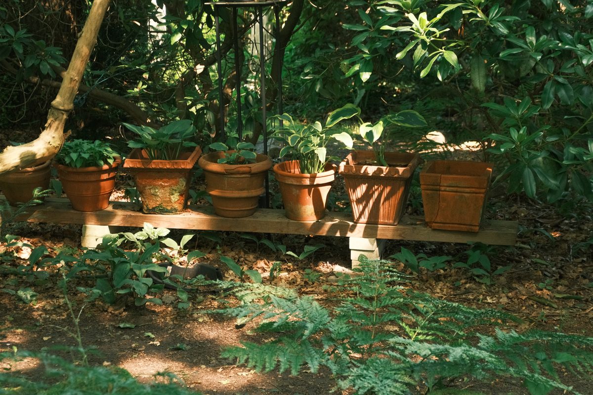 Jarres en terre cuite d'Anduze dans un jardin provençal