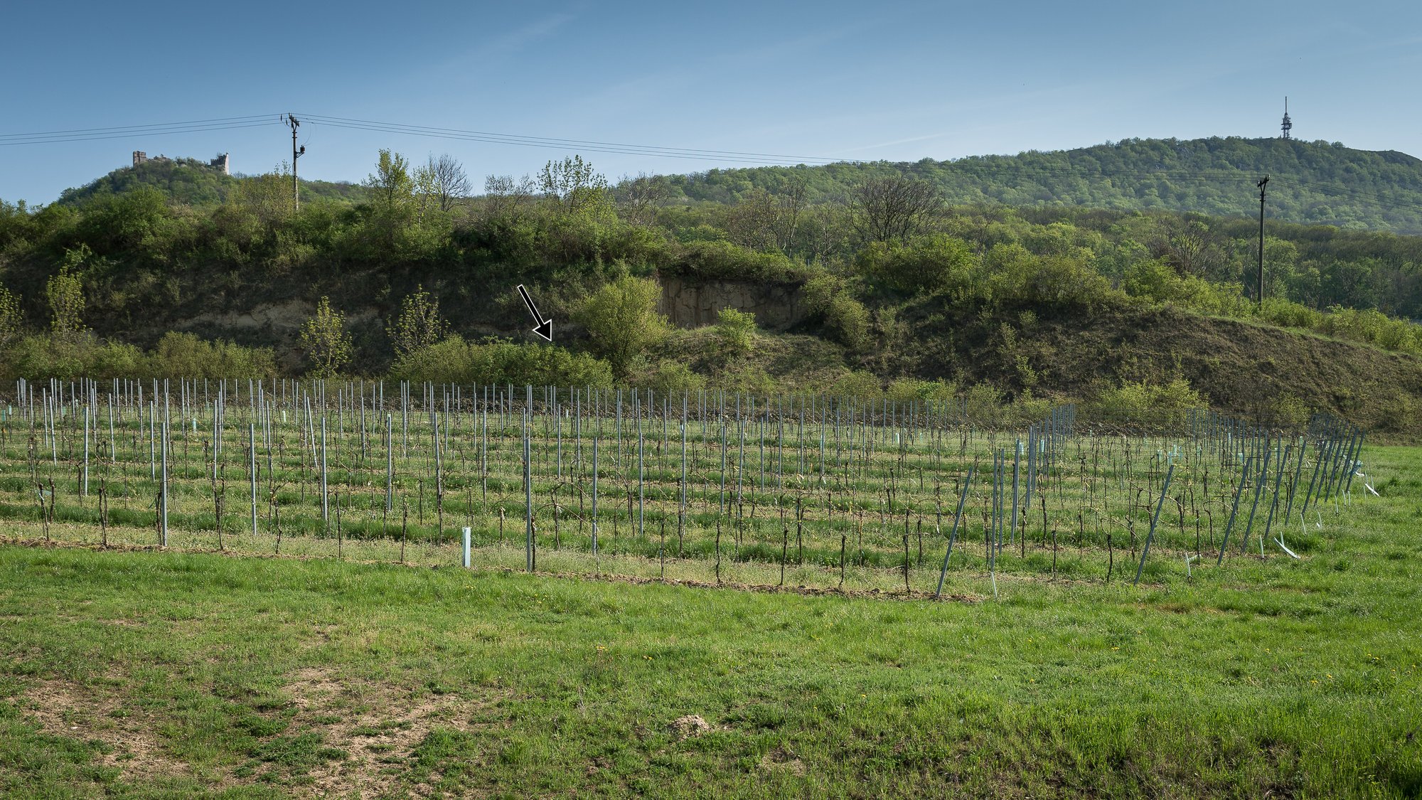 Vue du site archeologique de Dolni Vestonice en Moravie du Sud, Republique tcheque